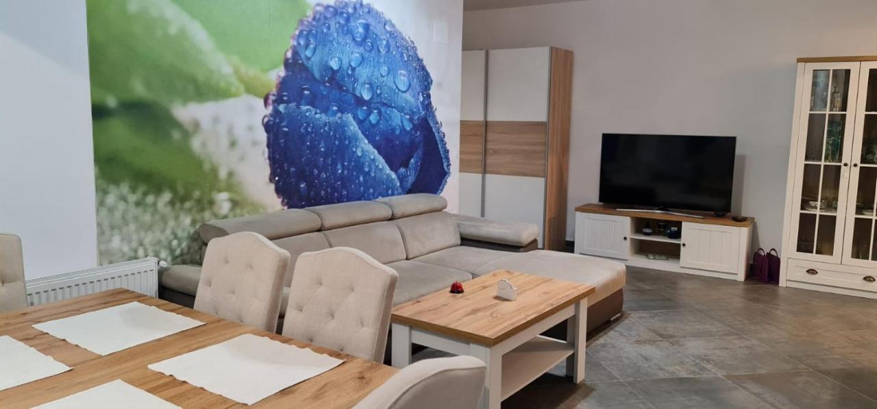 Apartament Fiore Blu Năvodari Eksteriør billede